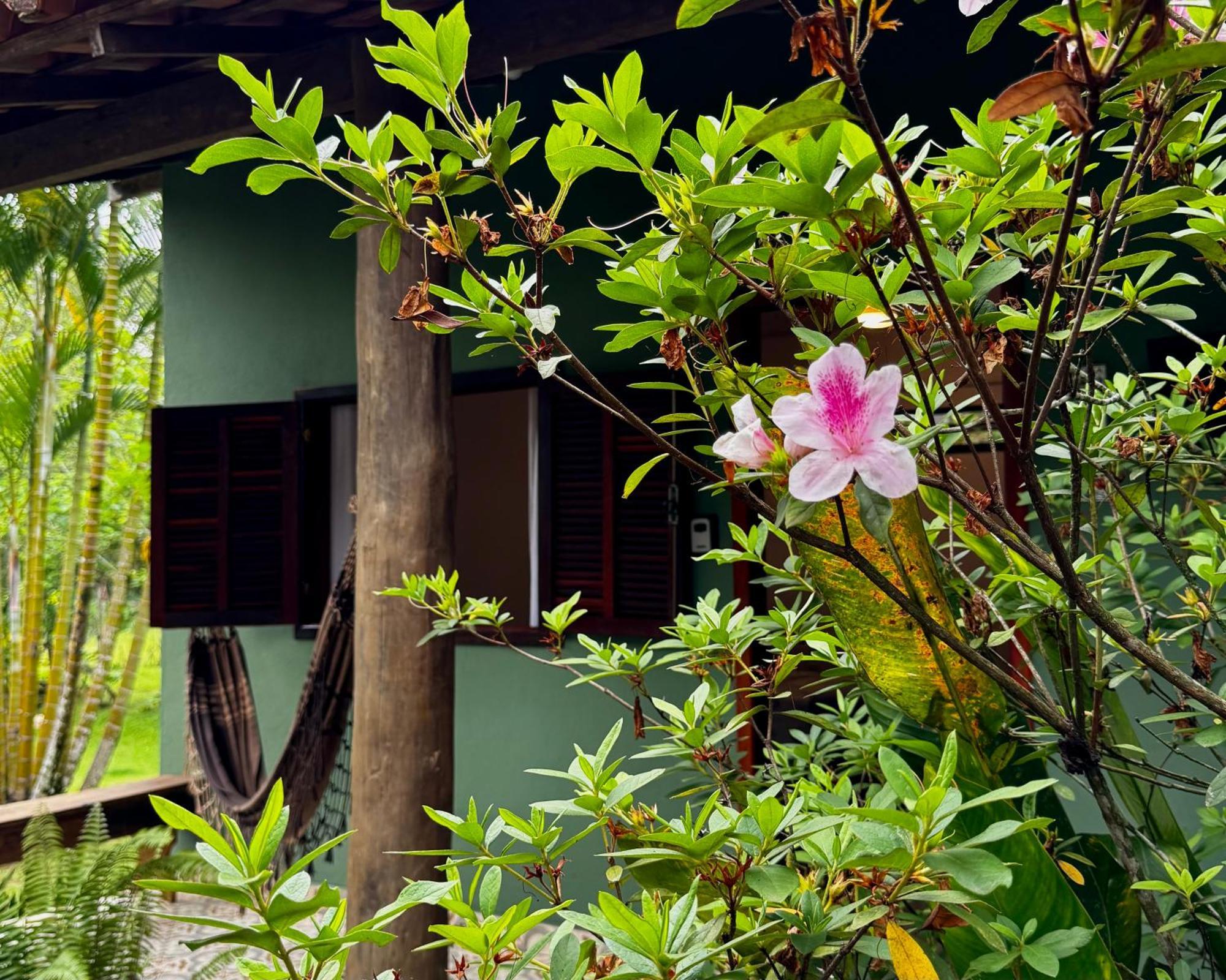 Casa Park Villa Araquari Rum bild